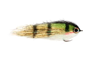 Clydsdale Golden Perch - Fin & Game