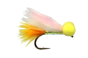 Fario Fly – Sunburst Candy Man Booby - Fin & Game