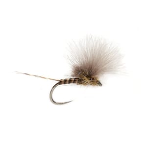 McPhail’s CDC Olive Quill - Fin & Game
