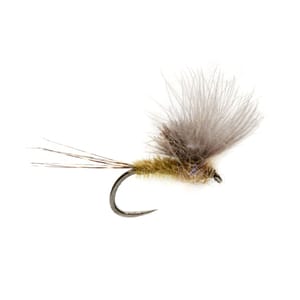 McPhail’s CDC Olive - Fin & Game
