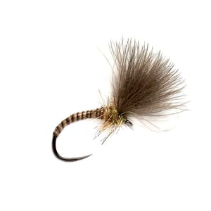 Quill CDC Emerger - Fin & Game