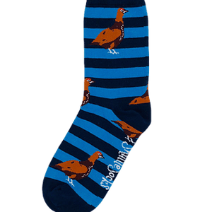 Shuttlesocks Junior Blue and Navy Grouse Socks - Fin & Game