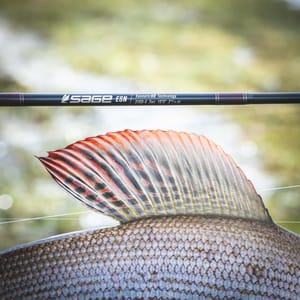 Sage ESN Nymphing Fly Rod - Fin & Game