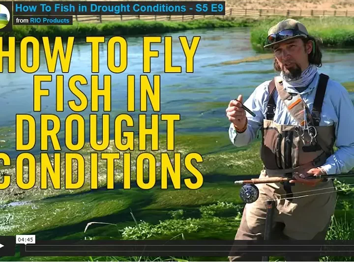 How to fly fish in drought conditions
