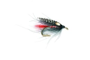 CDC Black Brahan - Fin & Game
