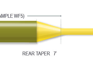 Airflo Super-Dri Elite Floating Fly Line - Fin & Game