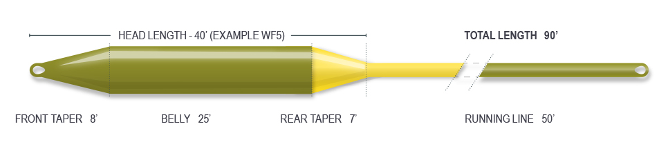 Airflo Super-Dri Elite Floating Fly Line - Fin & Game