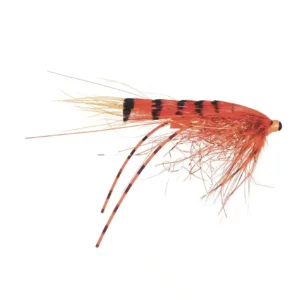 Frodin G.P Special Micro Series - Fin & Game
