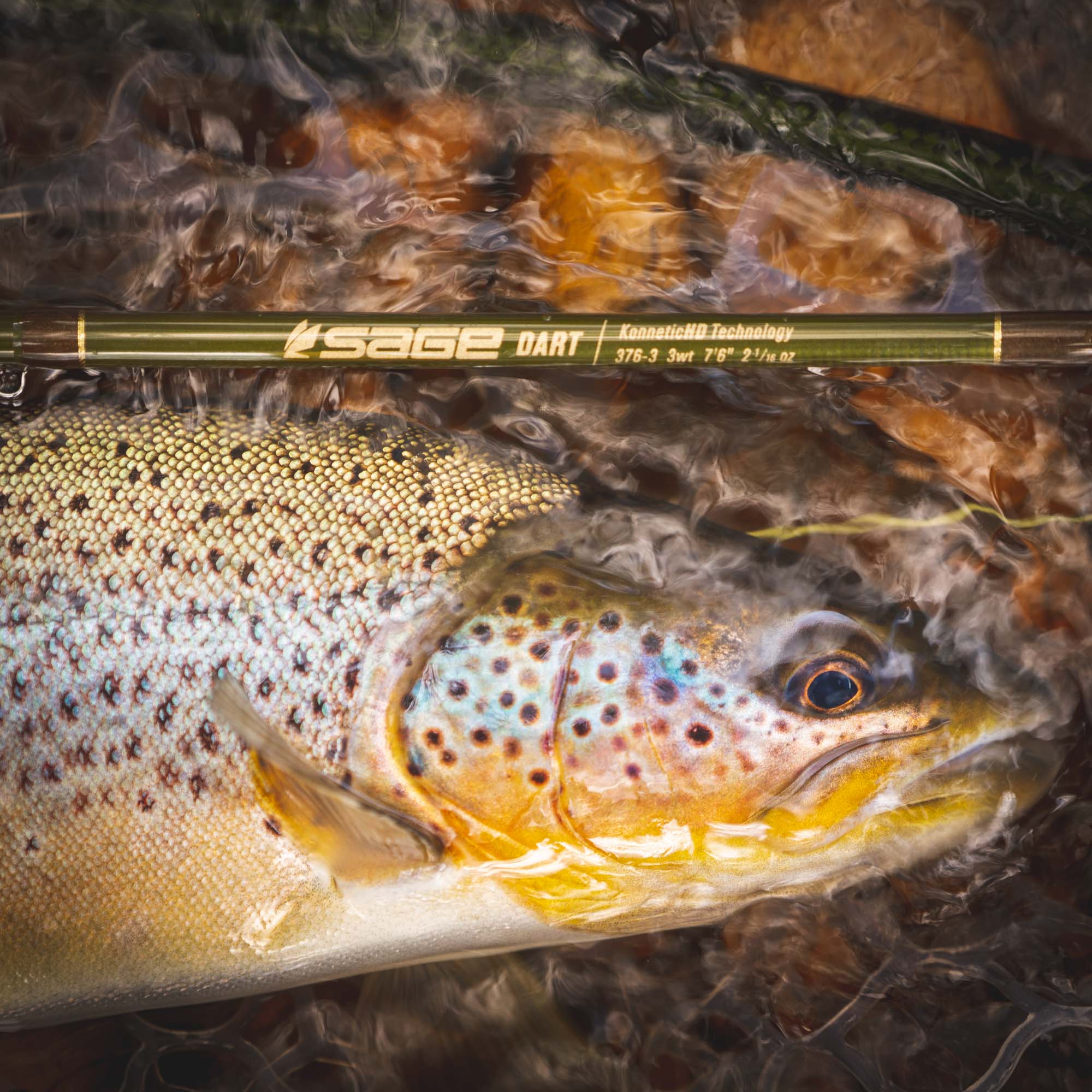 Sage Dart Fly Rod - Fin & Game