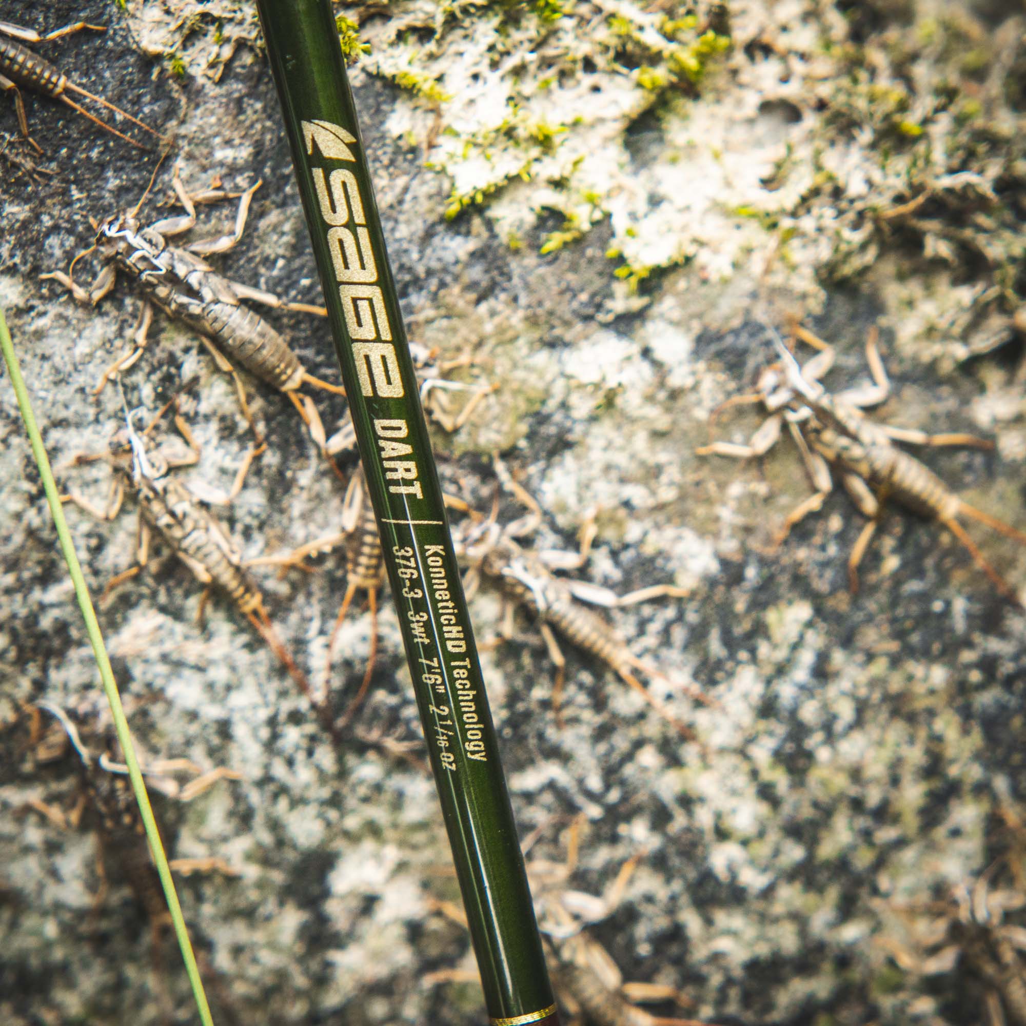Sage Dart Fly Rod - Fin & Game