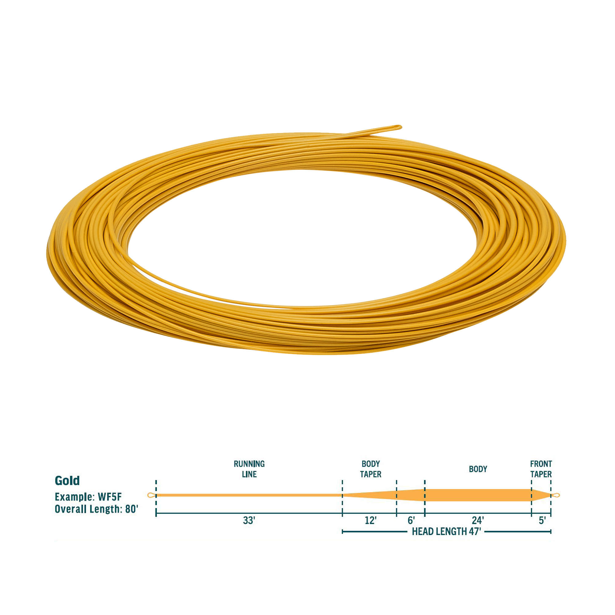 RIO Avid Gold Floating Fly Line - Fin & Game