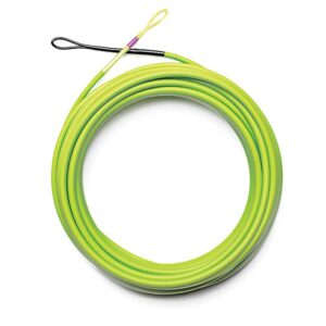 Airflo Skagit  Scout Shooting Head - Fin & Game