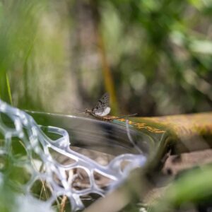 Fishpond Nomad Canyon Net - Fin & Game