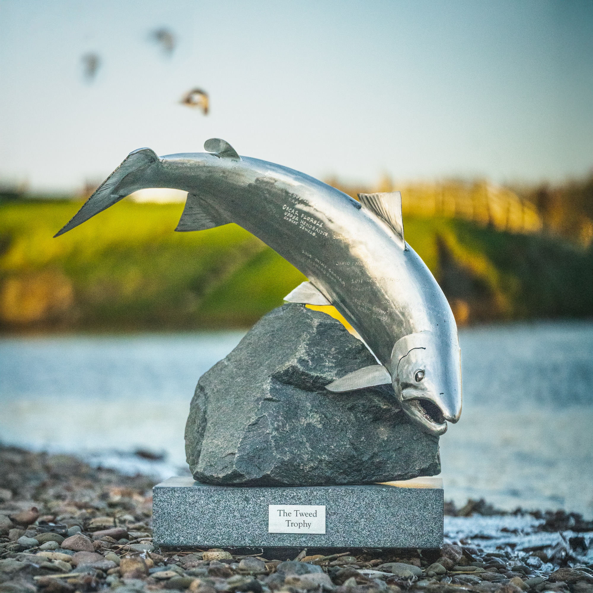 The Tweed Trophy - Fin & Game
