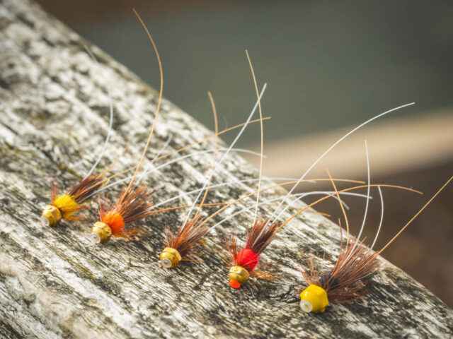 How To Fish A Frances Fly - Fin & Game