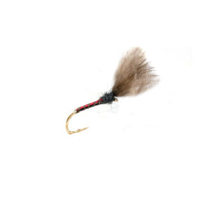 Fario Fly Red Holo Quill Shuttlecock - Fin & Game