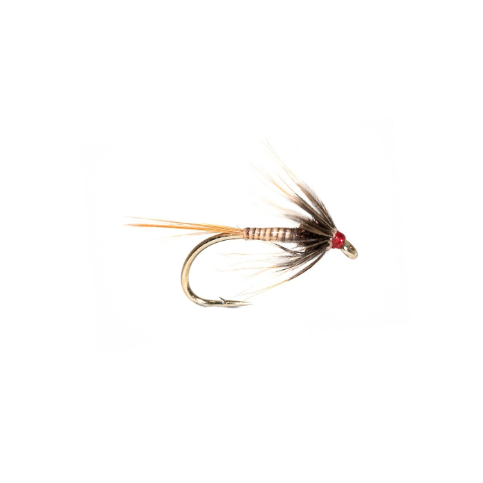 natural_quill_cruncher__20929