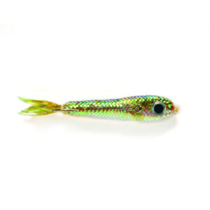 Fulling Mill Minkie Suspender - Fin & Game