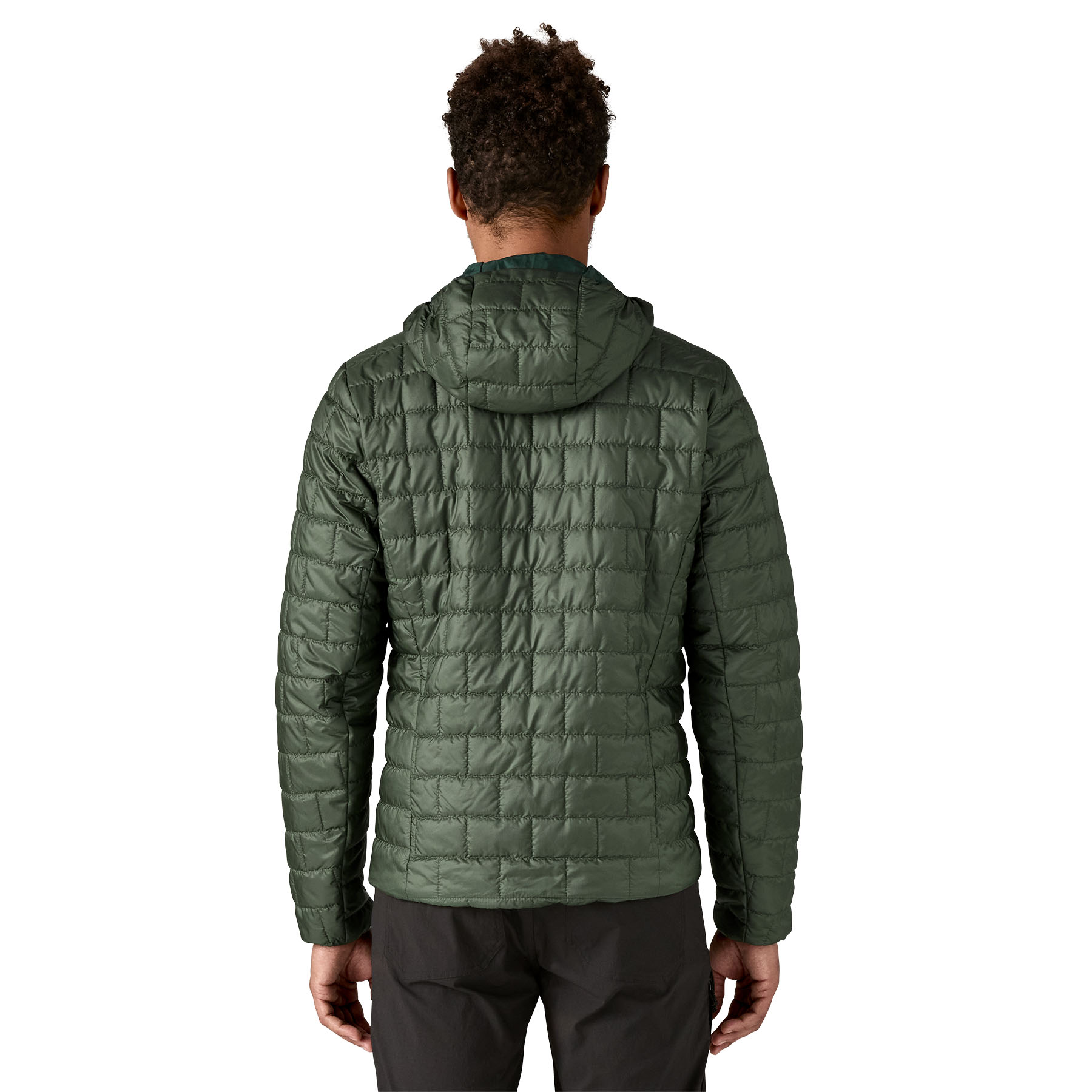 Patagonia Men’s Fitz Roy Trout Nano Puff Hoody - Fin & Game